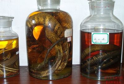 唐三镜杨俊丽-蛇泡酒的三种做法你知道吗?