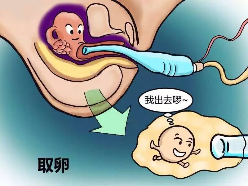 回到20岁生孩子-搜狐健康