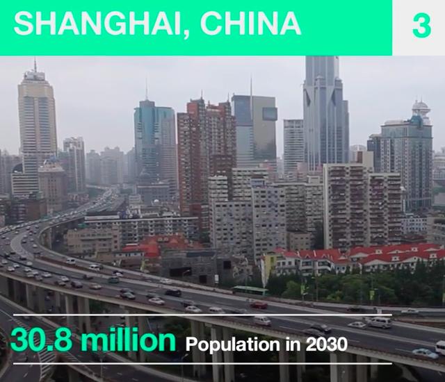 2030年世界人口_2030年世界人口结构图-中国昆商糖网