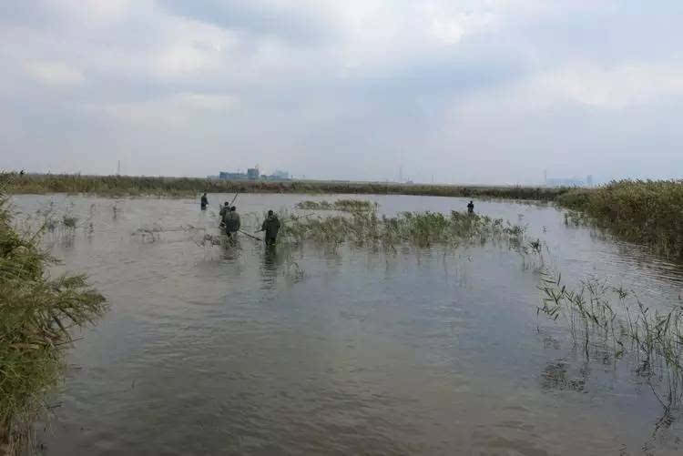 赣榆县人口多少人口_赣榆县太平村图