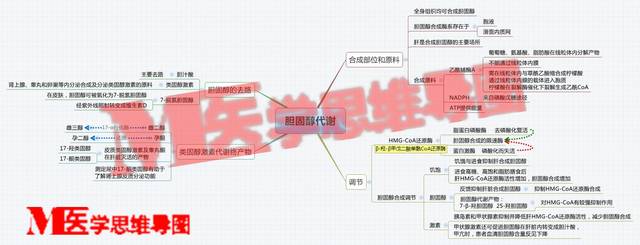 思维导图丨胆固醇代谢