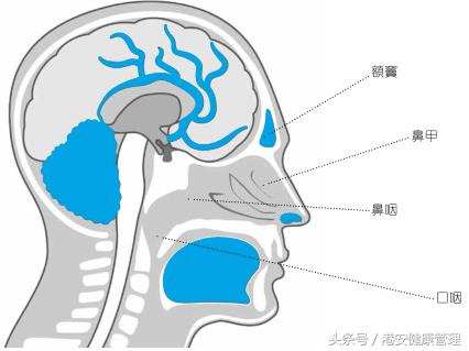 台湾长庚医院鼻咽癌患者质子治疗成功案例