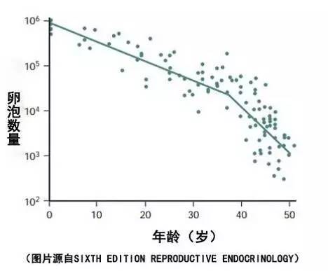 之卵巢储备下降与卵巢早衰的区别