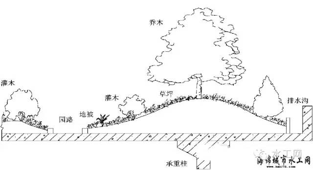 屋顶绿化植物种植微地形处理方法示意图