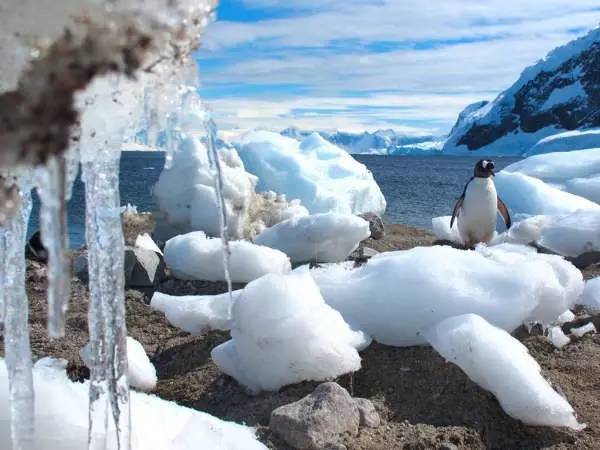 12月 在南极等你看冰雪融化