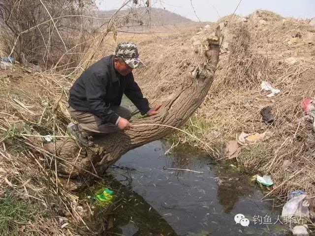 钓鱼圈疯传的一组趣图你看过几张