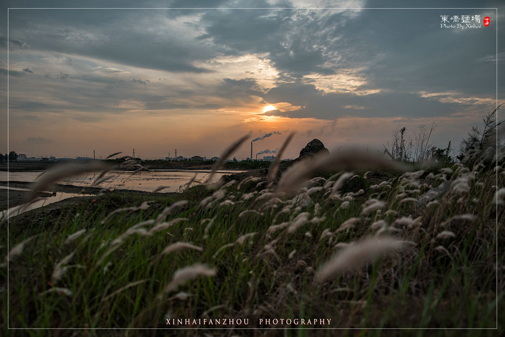 风吹过盐场边上的芦苇,左右摇摆,和着远处的夕阳乌云,苍凉,凄美.