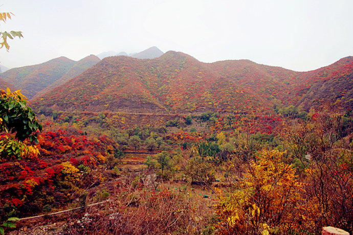 钟丽缇张伦硕在京大婚 这个时节适合去北京看