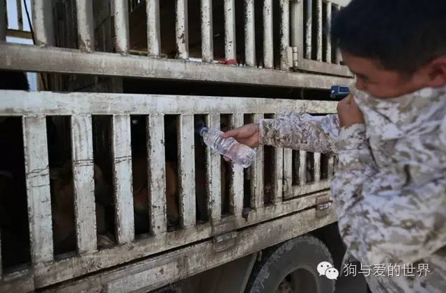 盘县有多少人口_盘县竹海镇人口