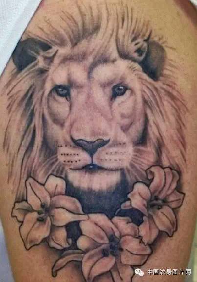纹身素材lion狮子