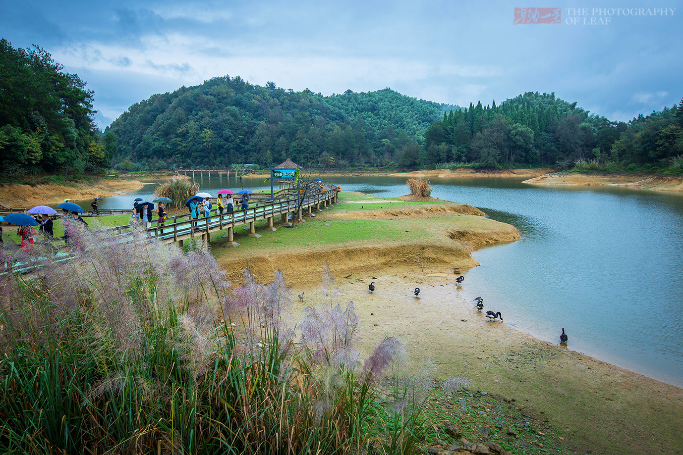 千岛湖龙川湾重温知青下乡那段激情的岁月