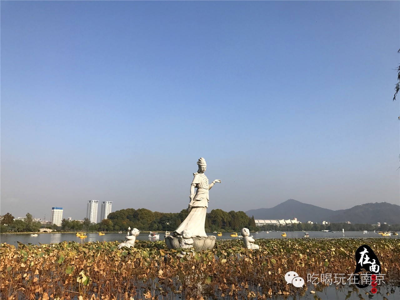 金陵秋何处觅秋景看不够的玄武湖梁州银杏大道