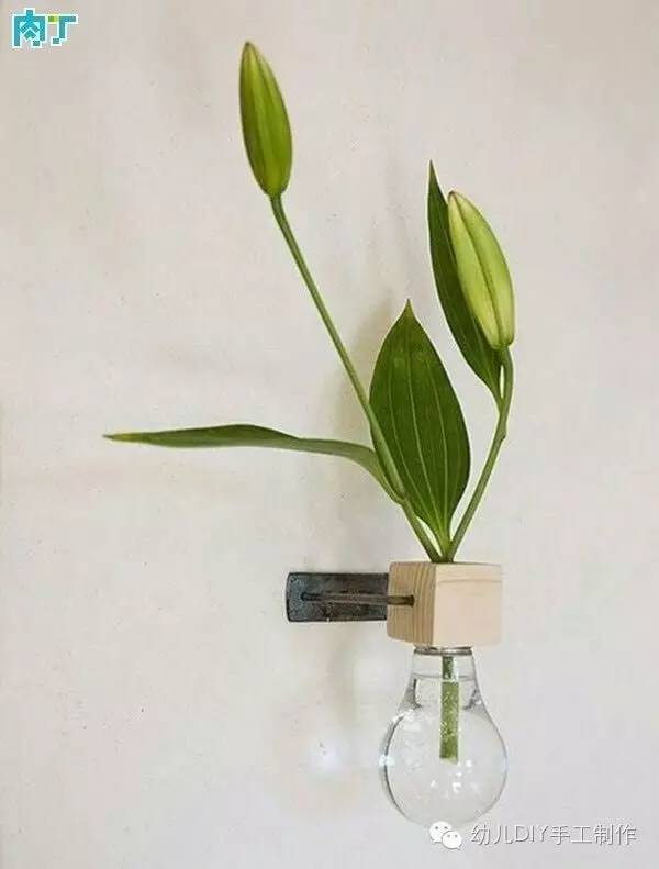 【手工】灯泡花瓶制作 灯泡植物全面教程及作品欣赏