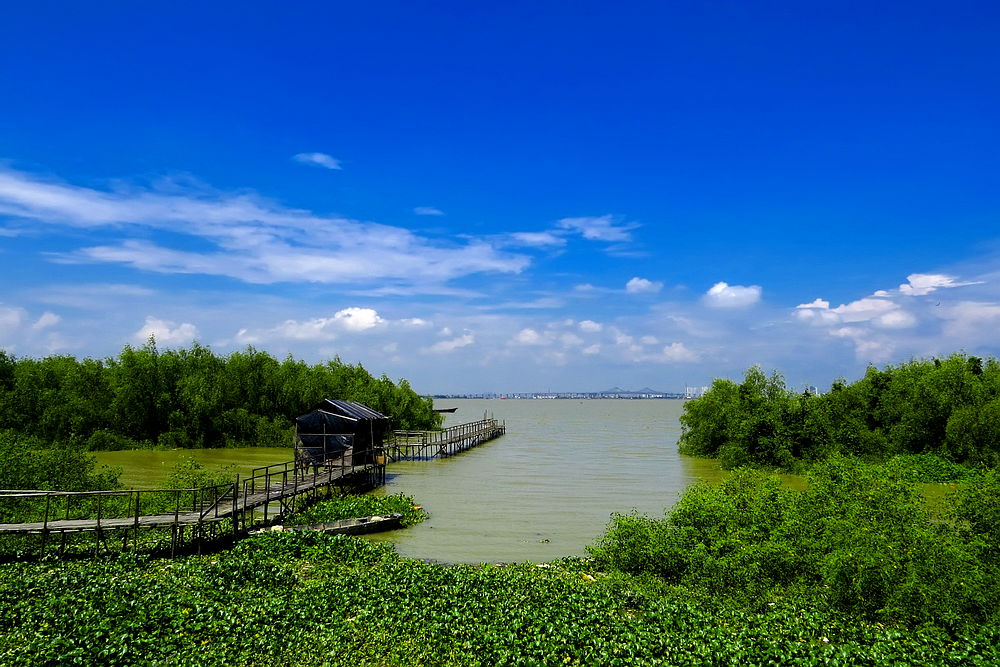 推荐 谁说广州没有原生态小岛,快来畅游海鸥岛