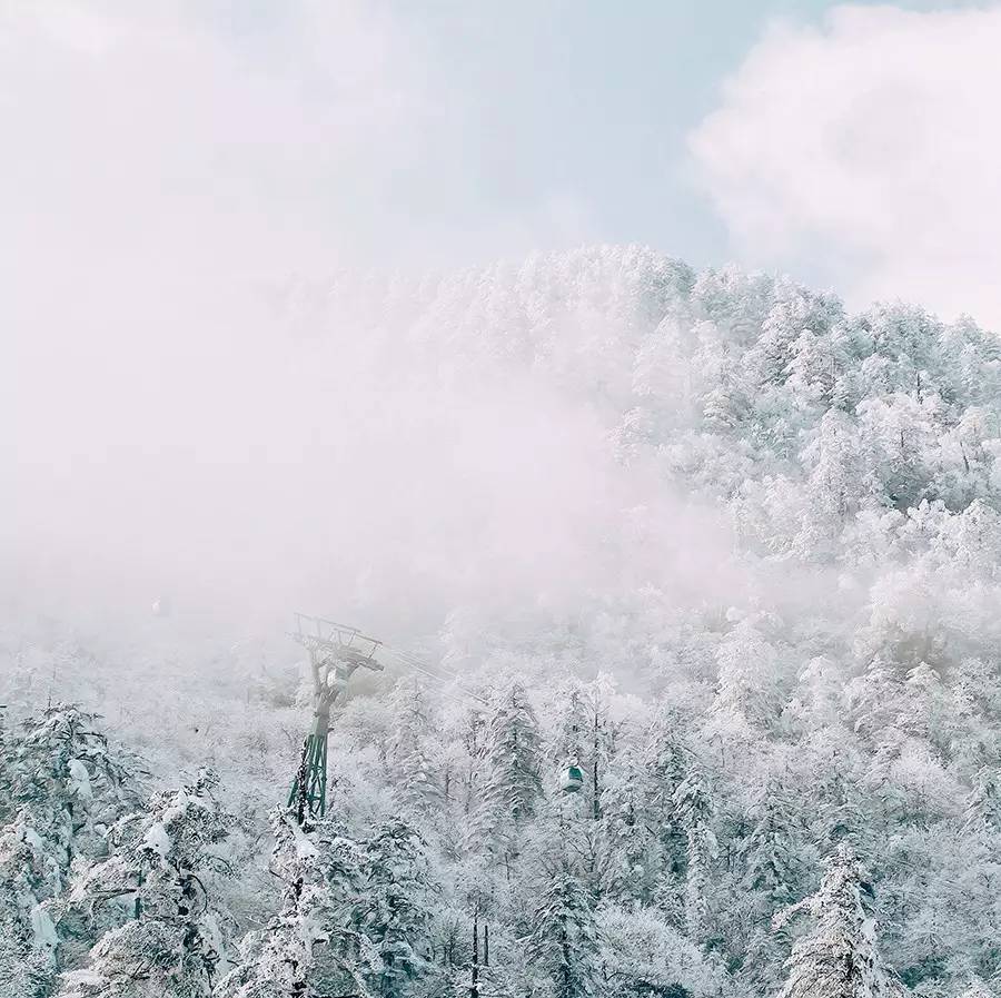 冬季山中的早晨雾气氤氲,犹如武侠片中仙侠的出场地,又似一幅幽静清妙