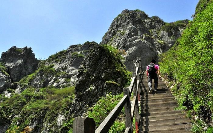 宝鸡凤县紫柏山景区闭园通知!