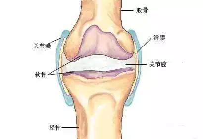 腿发软"是不是膝盖有问题?