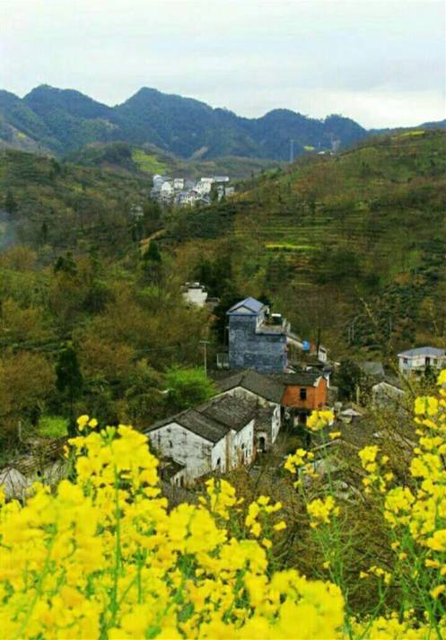 歙县乡村旅游扶贫重点村(六)金川长源——万山丛中一桃源