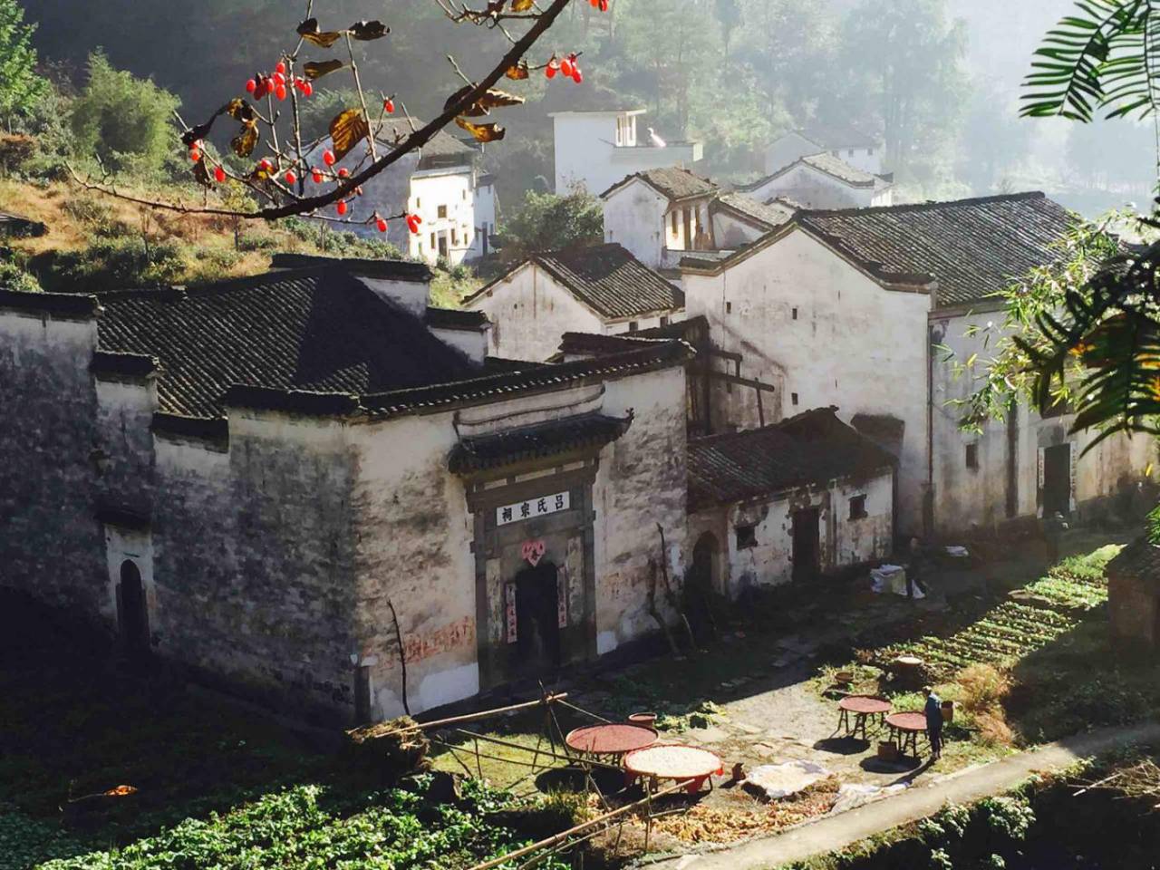 村中有一批古祠堂,古建筑保存完好,至今仍然是徽派古建中的瑰宝.