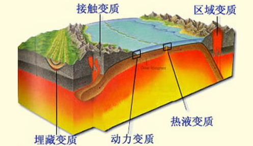 4.地质作用与地壳运动