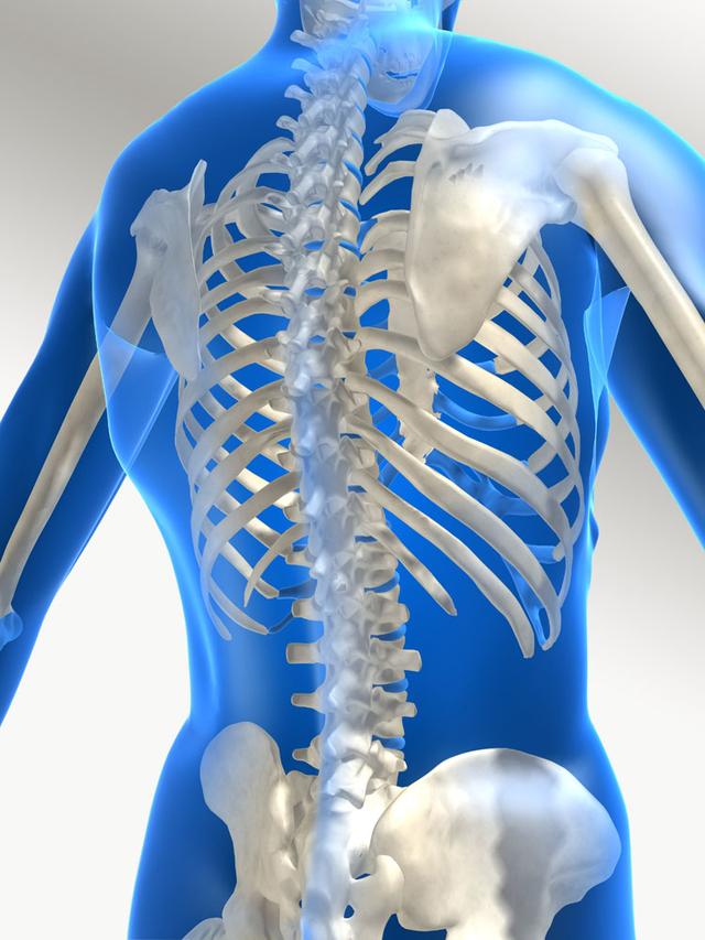 脊柱致伤机制、分类与病理解剖