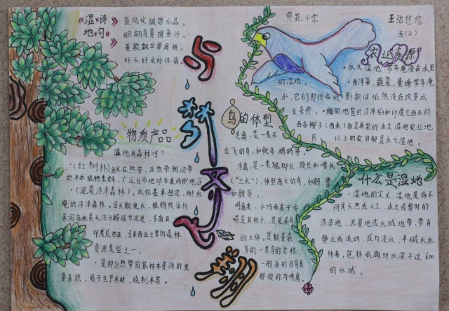 获奖作品《将军胡同》书影_小学生手抄报