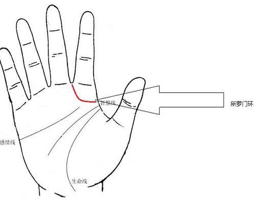 一般都把这条纹叫所罗门环.