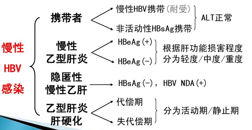 我国十三亿人口中_中国第十三亿人口日(2)