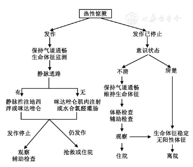 热性惊厥诊断和治疗专家共识(2016)