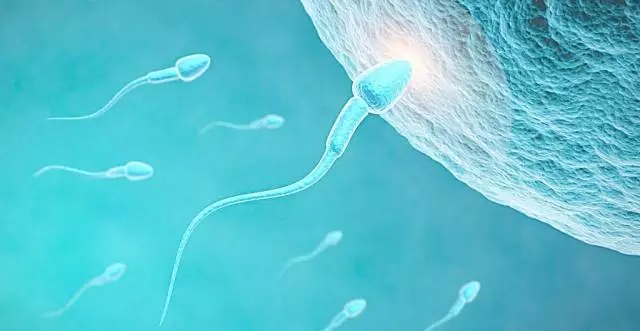 只要有一个精子正常就能生育 真的是这样吗?