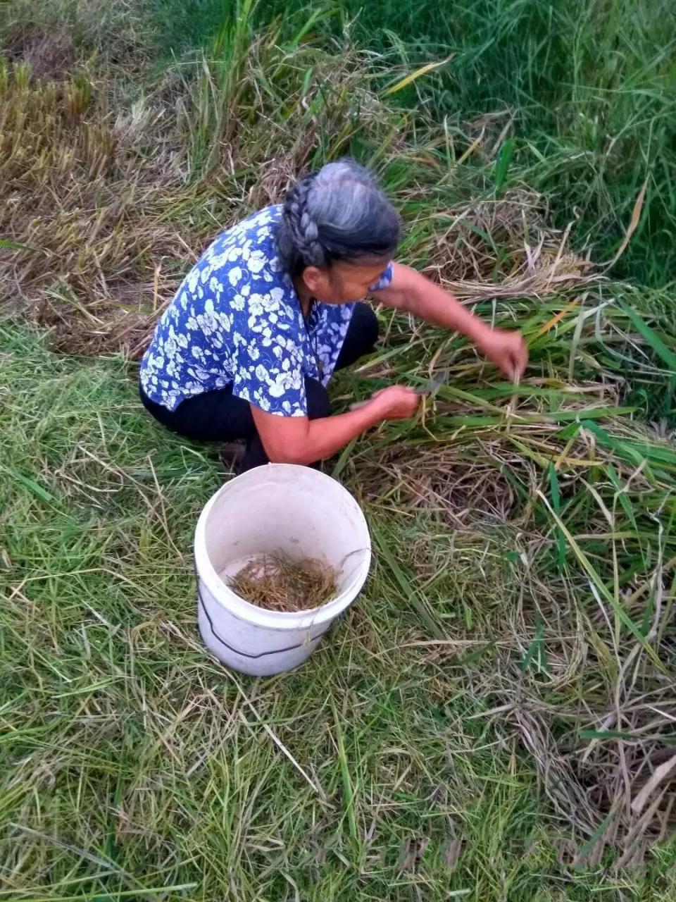 农村人看哭了的八张照片,很怀念