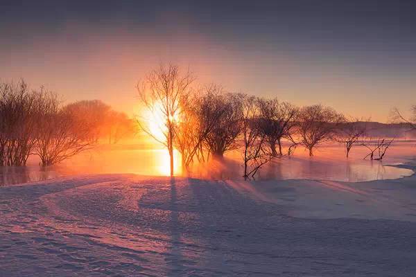 冬天来了,快,趁着下雪学点拍雪景的技巧.