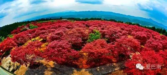 ▼木洞桃花岛▼