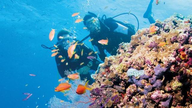 澳大利亚当选18年无限极 中国 大型奖励旅游目