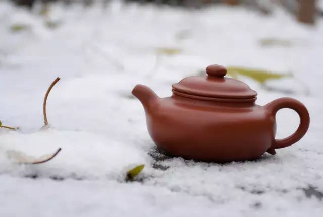 物候|煮雪问茶,风雪里的那些茶香