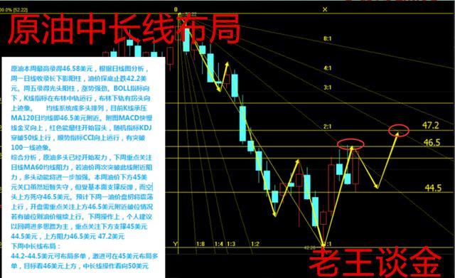 李姓多少人口_山东省五大姓氏 张姓第二,李姓第三(3)