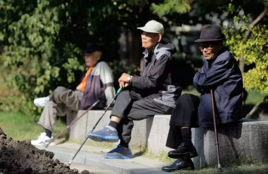 人口老龄化的后果_我国人口老龄化的趋势 后果及应对措施(2)