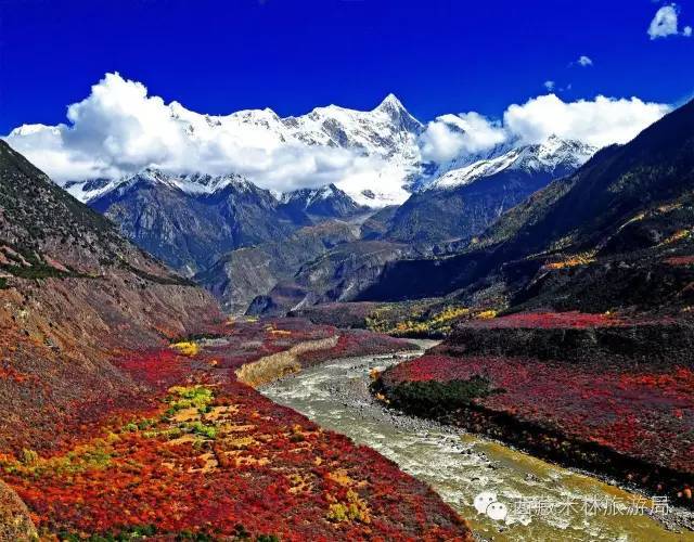 深入解读世界第一大峡谷:雅鲁藏布大峡谷