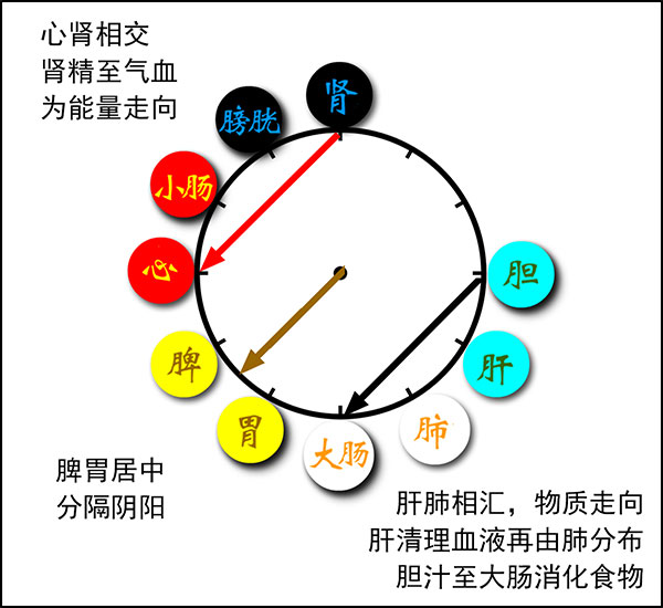 大漫中医中医五行养生如何调和好五脏平衡