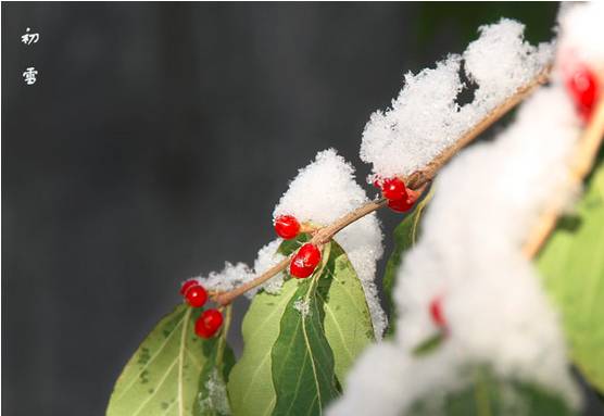 一下雪，北京就变为了北平，故宫就变为了紫禁城