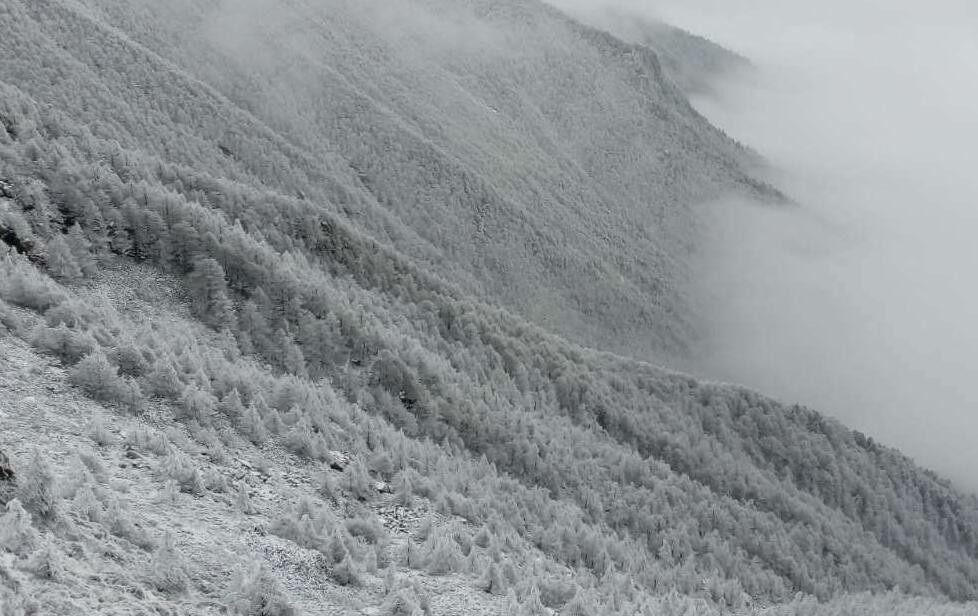 每当西安城区落雨,秦岭山脉则白雪皑皑,挂满冰凌的树枝犹如精灵.