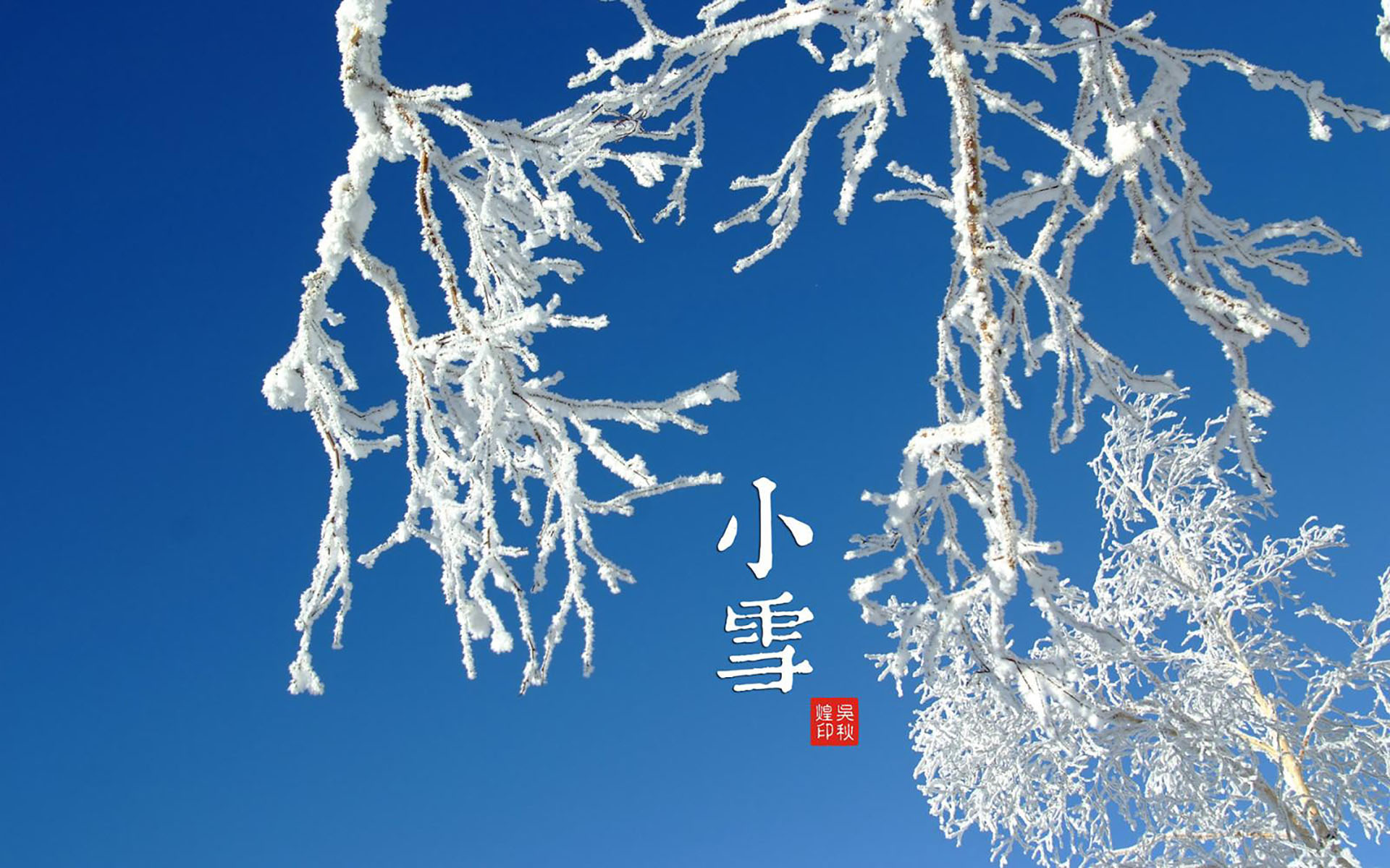 小雪丨满城楼观玉阑干,小雪晴时不共寒