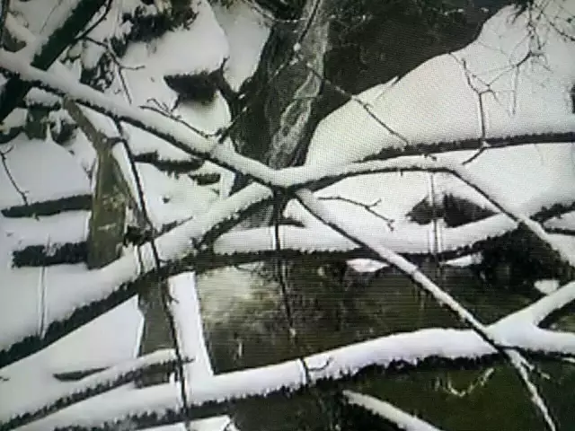 陕西眉县2016年的第一场雪！数百人在打雪仗