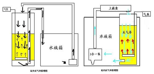 水族知识