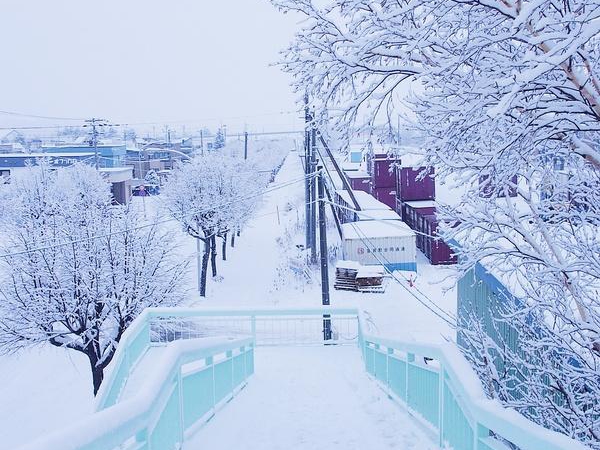 这个冬天,一起去北海道看雪