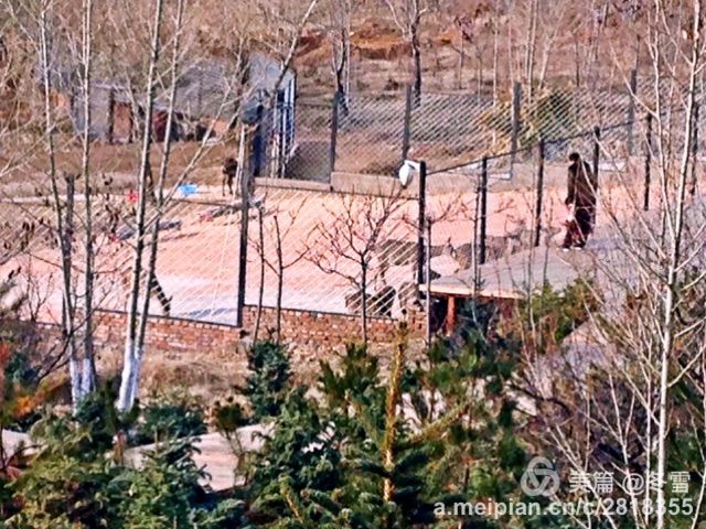 集宁多少人口_集宁师范学院(2)