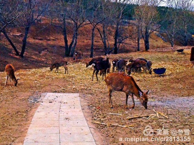 集宁多少人口_集宁师范学院(2)