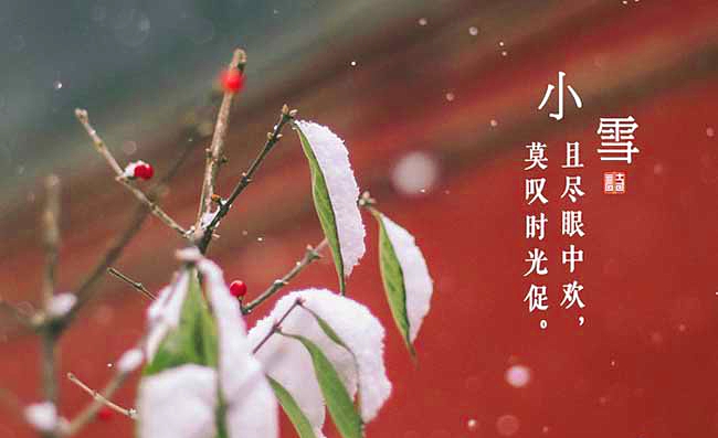 二十四节气之小雪养生攻略