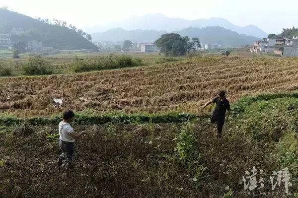 小马云父亲:我儿子没拿别人一分一毫,只有读