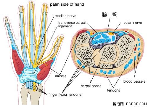 手腕肿痛怎么办